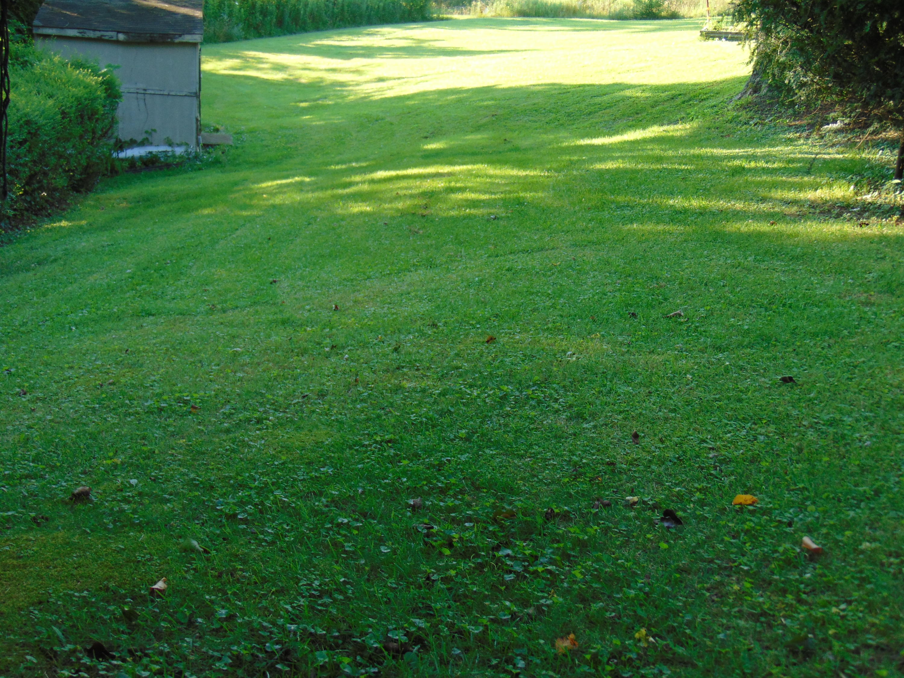 134 River Road Harrogate, TN 37752 - Photo 5 of 10 DSC00903