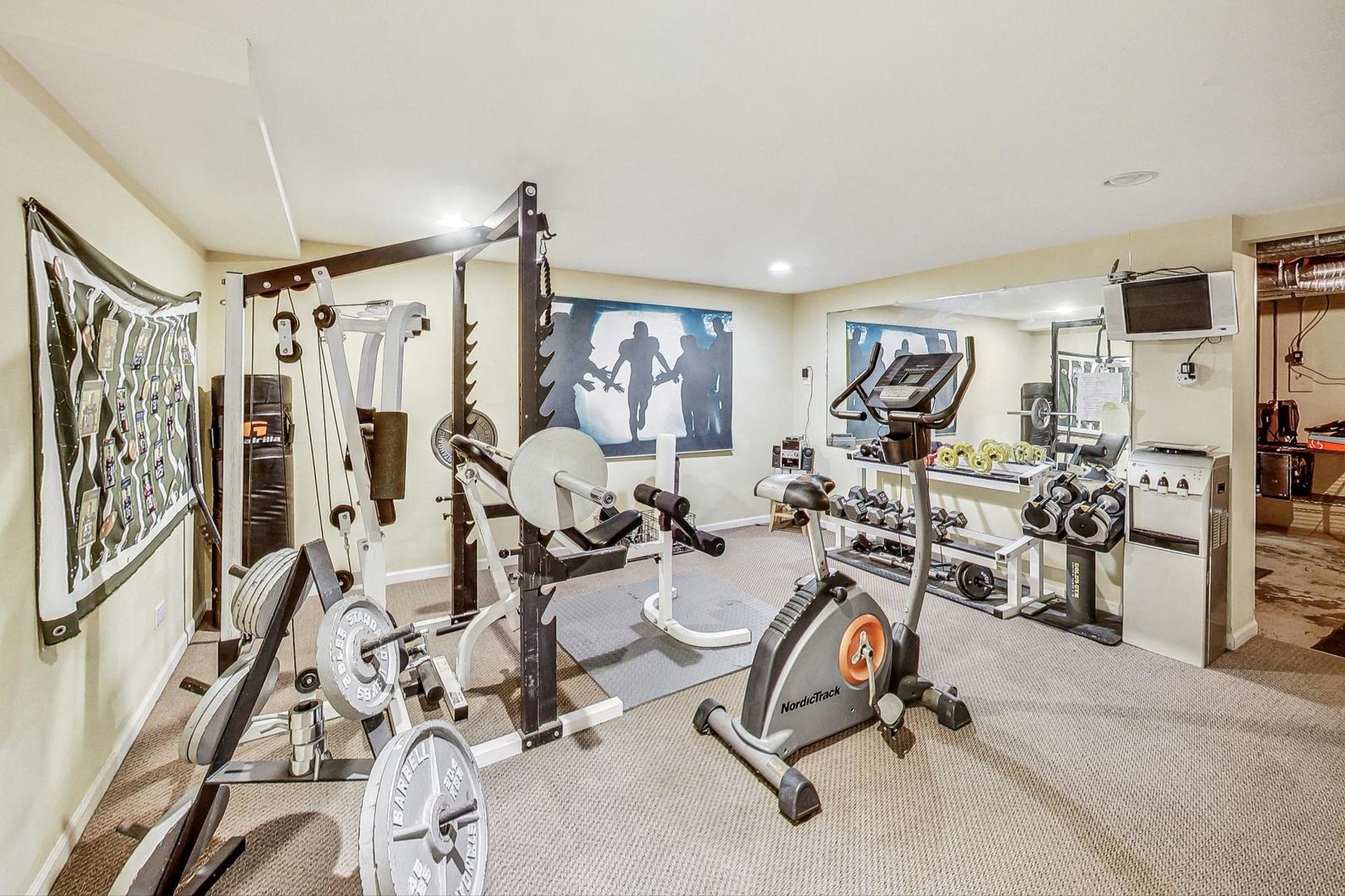 4915 Terra Cotta Road Crystal Lake, IL 60012 - Photo 47 of 93 a view of a room with gym equipment