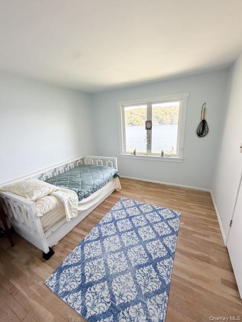274 Crowley Road Roscoe, NY 12776 - Photo 25 of 29 Window with water scenery, light wood-finish flooring, white trim, and light-toned walls