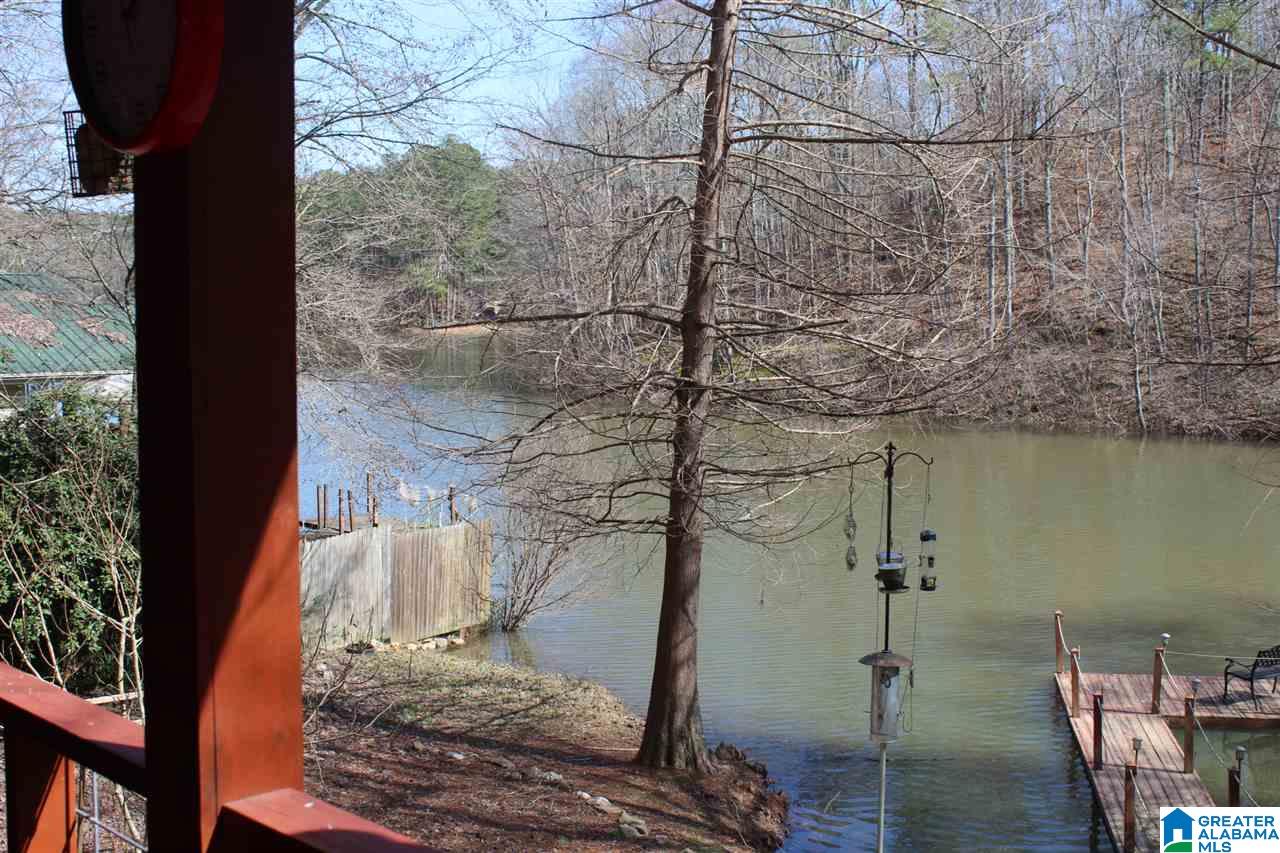 281 County Road 929 Delta, AL 36258 - Photo 22 of 49