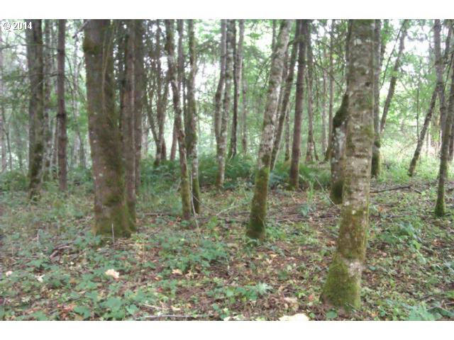 Apple Valley Scappoose, OR 97056 - Photo 1 of 4