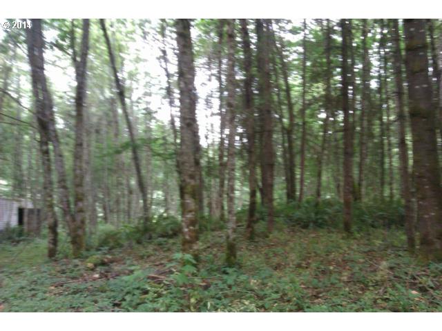 Apple Valley Scappoose, OR 97056 - Photo 4 of 4