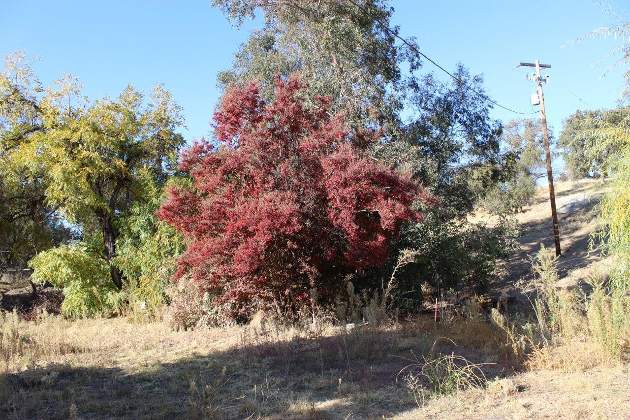 38289 Road 415 Raymond, CA 93653 - Photo 12 of 21