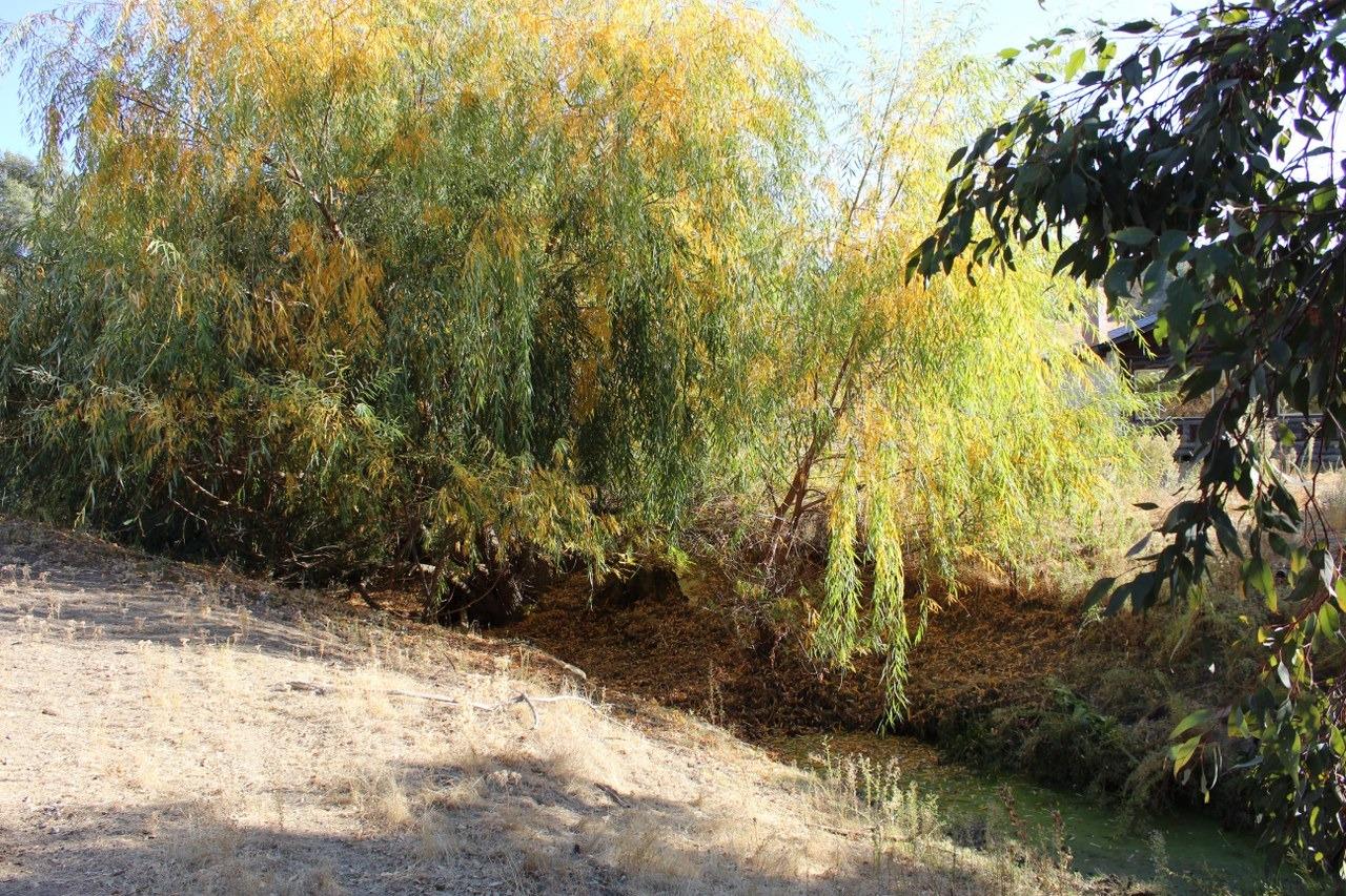 38289 Road 415 Raymond, CA 93653 - Photo 13 of 21