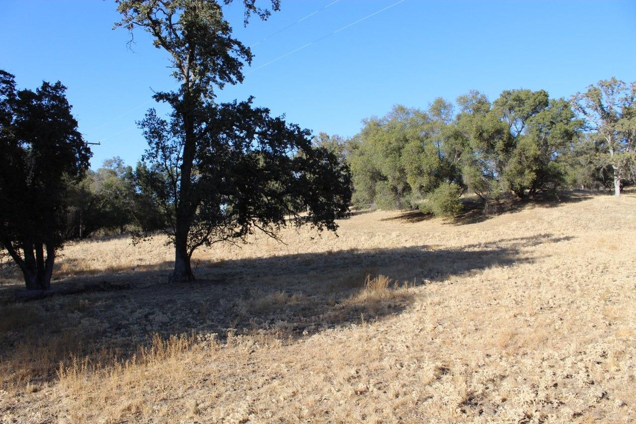 38289 Road 415 Raymond, CA 93653 - Photo 16 of 21