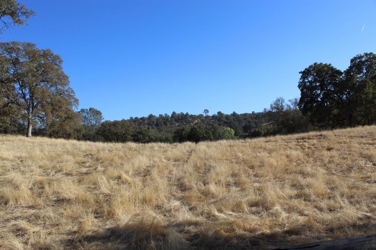 38289 Road 415 Raymond, CA 93653 - Photo 17 of 21