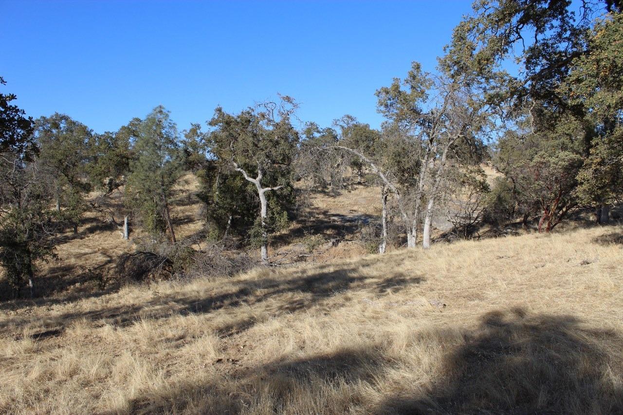 38289 Road 415 Raymond, CA 93653 - Photo 18 of 21