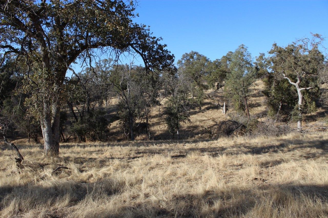 38289 Road 415 Raymond, CA 93653 - Photo 19 of 21