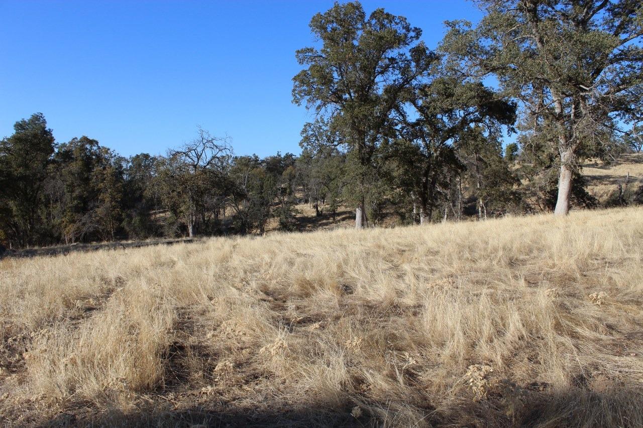 38289 Road 415 Raymond, CA 93653 - Photo 20 of 21