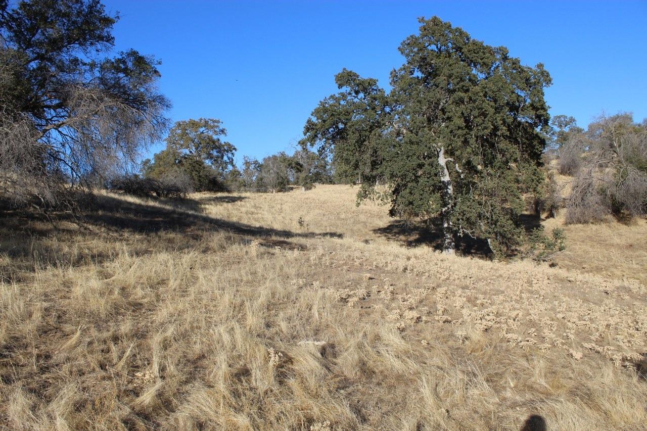 38289 Road 415 Raymond, CA 93653 - Photo 21 of 21