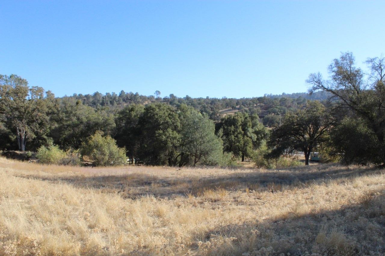 38289 Road 415 Raymond, CA 93653 - Photo 4 of 21