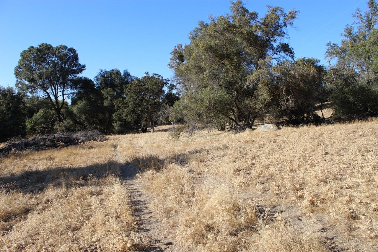 38289 Road 415 Raymond, CA 93653 - Photo 5 of 21