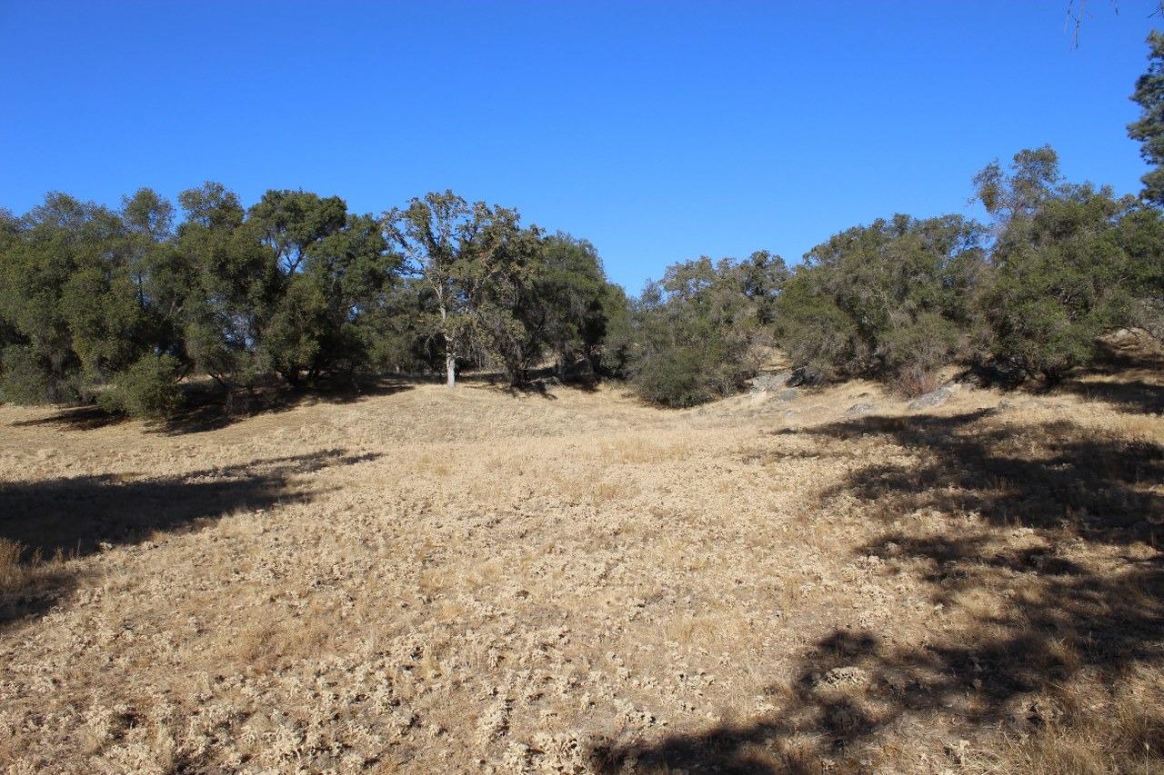 38289 Road 415 Raymond, CA 93653 - Photo 6 of 21