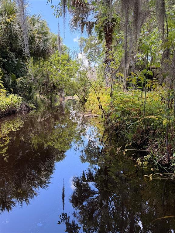 697 Eagle Watch Road Oak Hill, FL 32759 - Photo 13 of 16