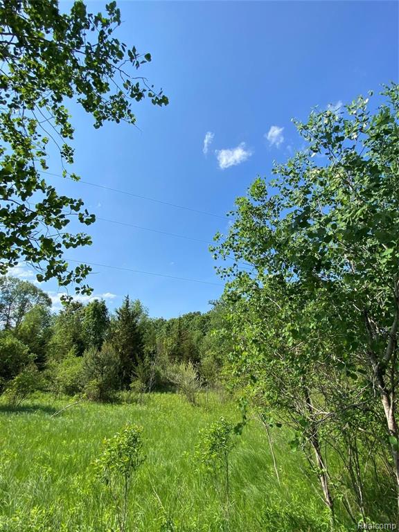 0 Kaiser Road Gregory, MI 48137 - Photo 16 of 29