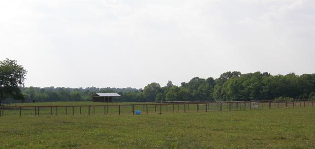 1330 Milltown Road Lewisburg, TN 37091 - Photo 3 of 17 There are seven no-climb fenced paddocks. All but one has a run-in shed. There are two barn lots. In addition there is a hay field.