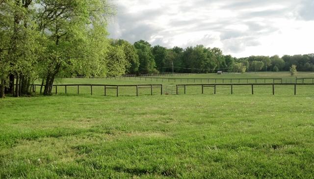 1330 Milltown Road Lewisburg, TN 37091 - Photo 5 of 17 A view from the front porch. The pastures surround the house. There are wonderful views from every plantation shuttered window.