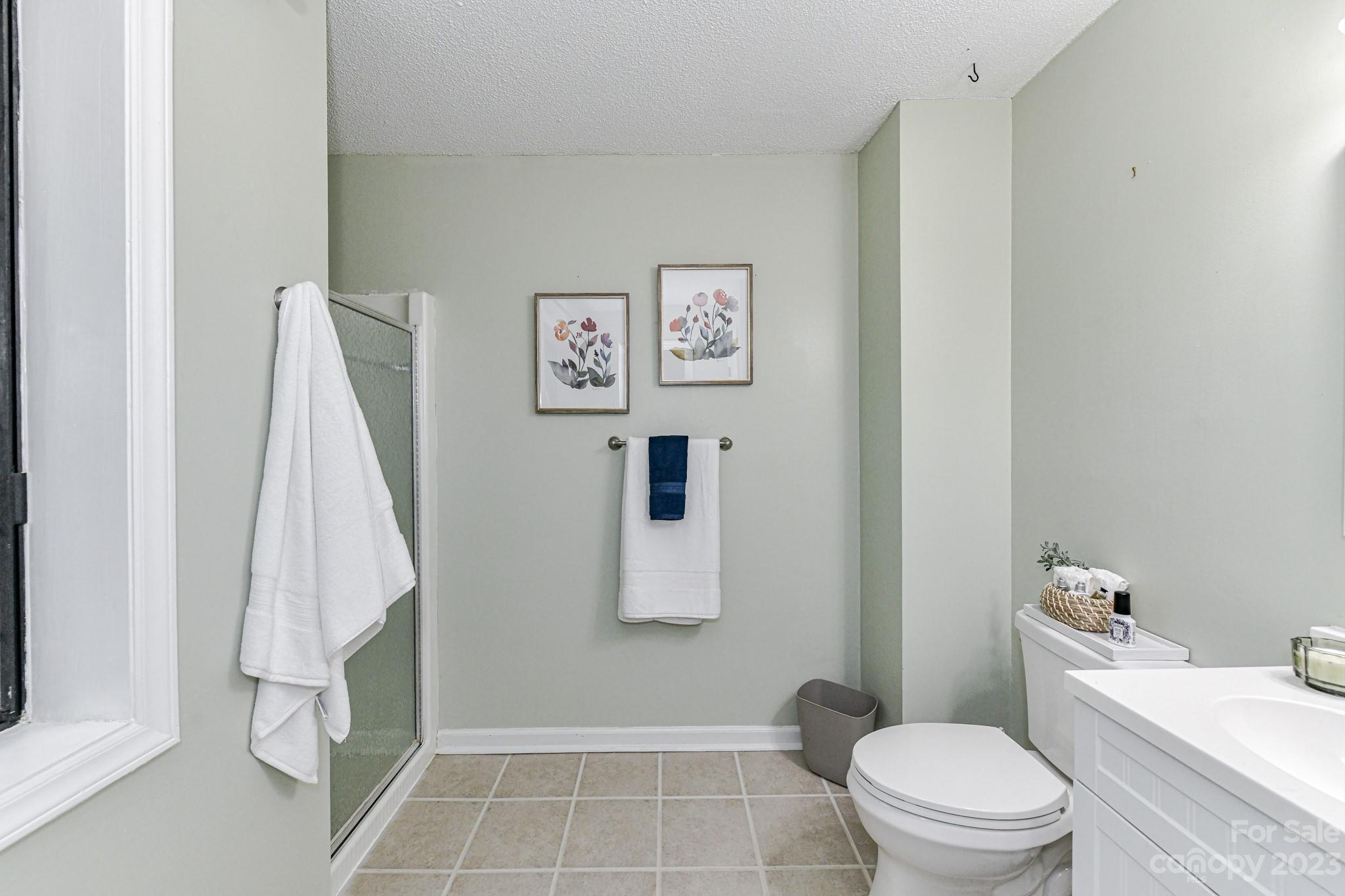 27046 Tidal Way Tega Cay, SC 29708 - Photo 11 of 20 a bathroom with a toilet and a shower