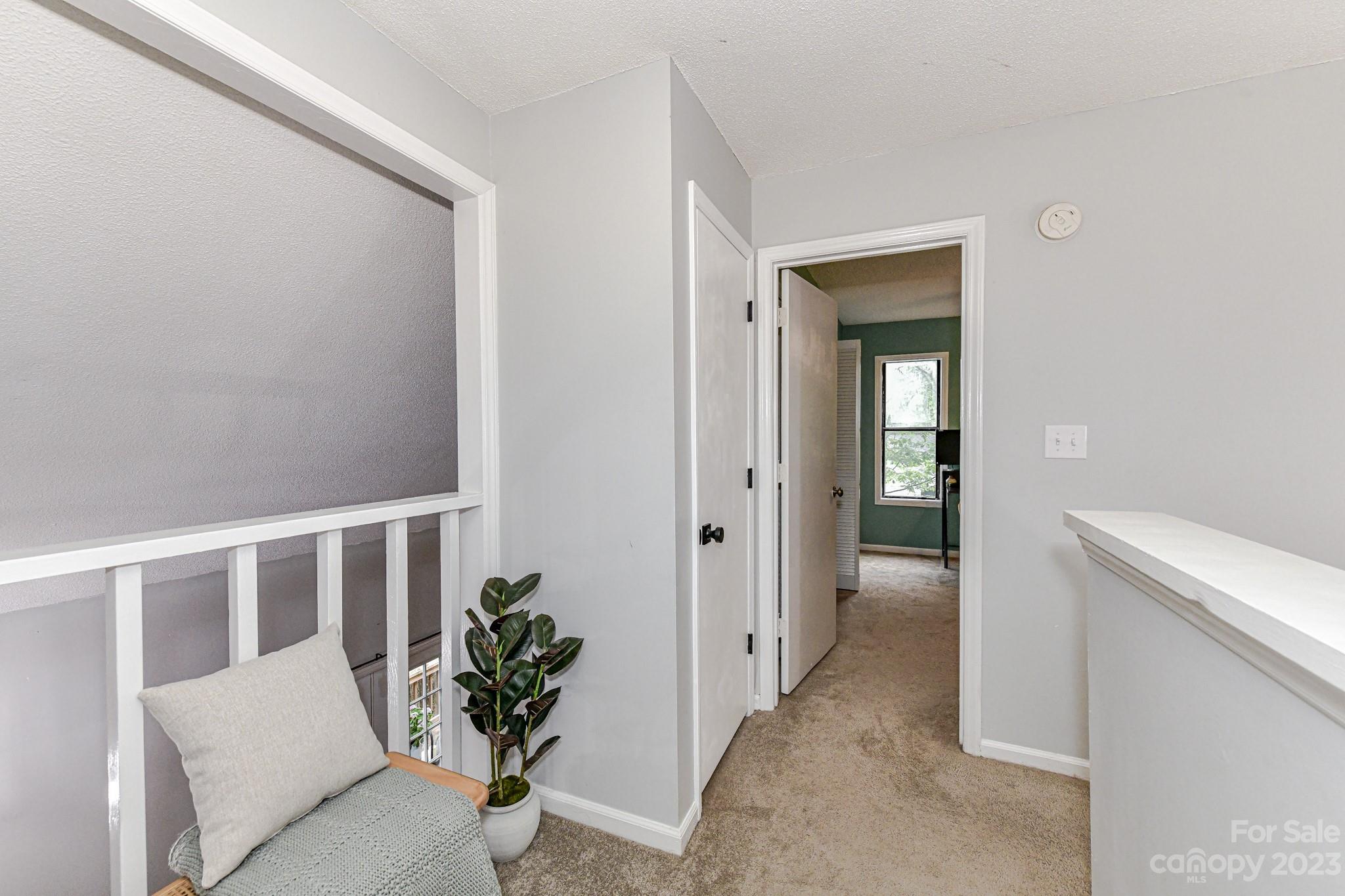 27046 Tidal Way Tega Cay, SC 29708 - Photo 15 of 20 a living room with furniture and a potted plant