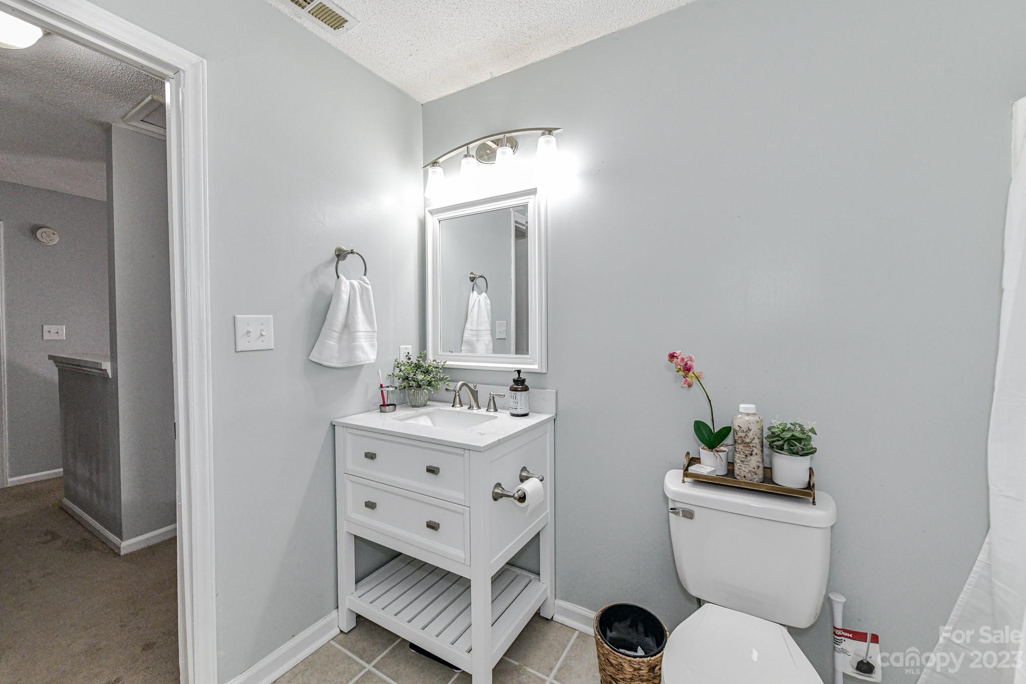 27046 Tidal Way Tega Cay, SC 29708 - Photo 19 of 20 a bathroom with a toilet a sink and mirror