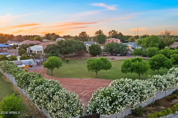 a front view of a house with a yard and potted plants