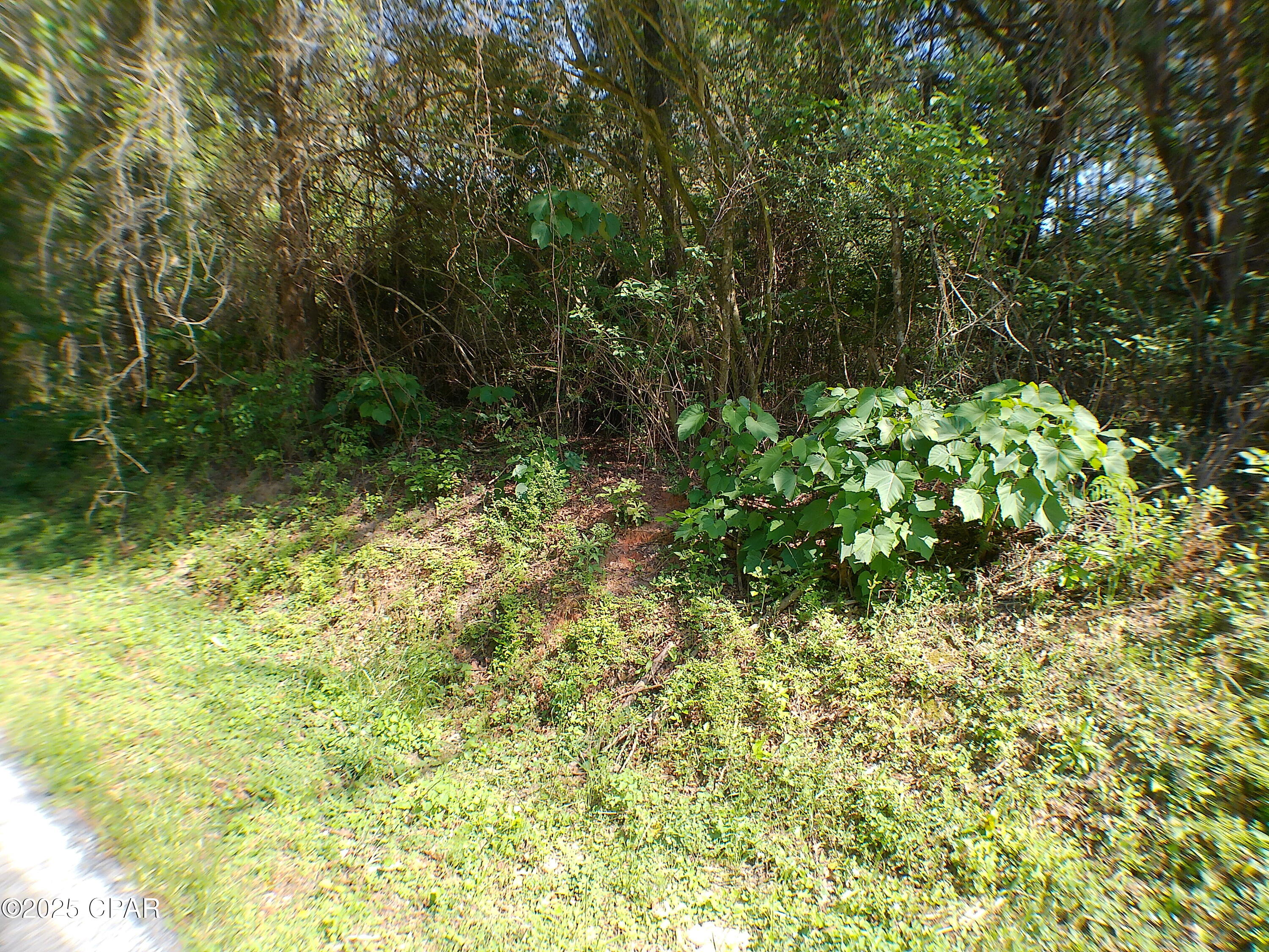 0 Christian Life Road, Unit 19 5 DeFuniak Springs, FL 32433 - Photo 7 of 21