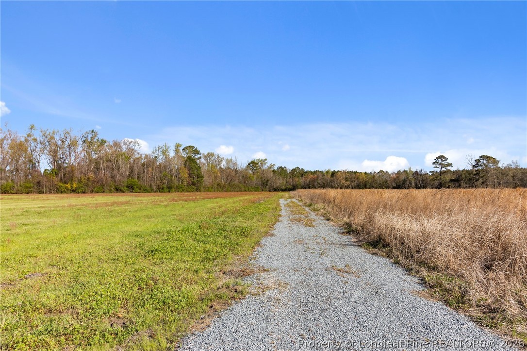 Rowan Road Lumberton, NC 28358 - Photo 4 of 5 a view of lake with green space