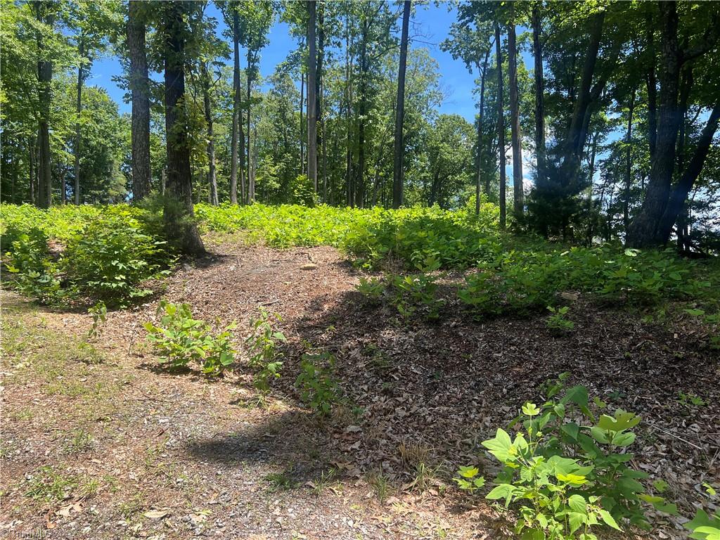 Tbd Wilderness Road Hays, NC 28635 - Photo 5 of 15