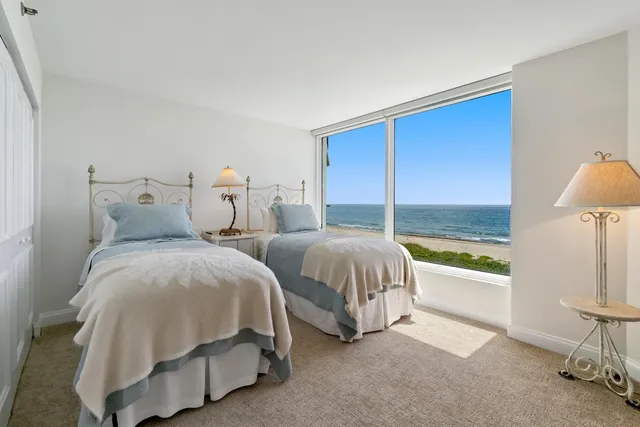 a view of a ocean from a yard