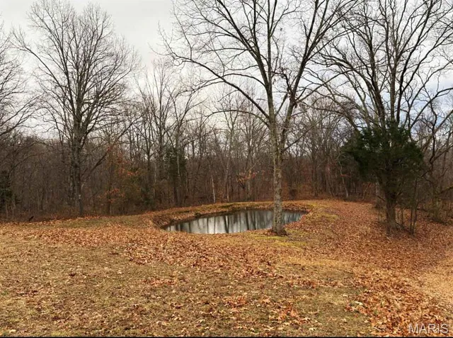 $699,000 | 701 Catalpa Lane, Jackson, MO 63755