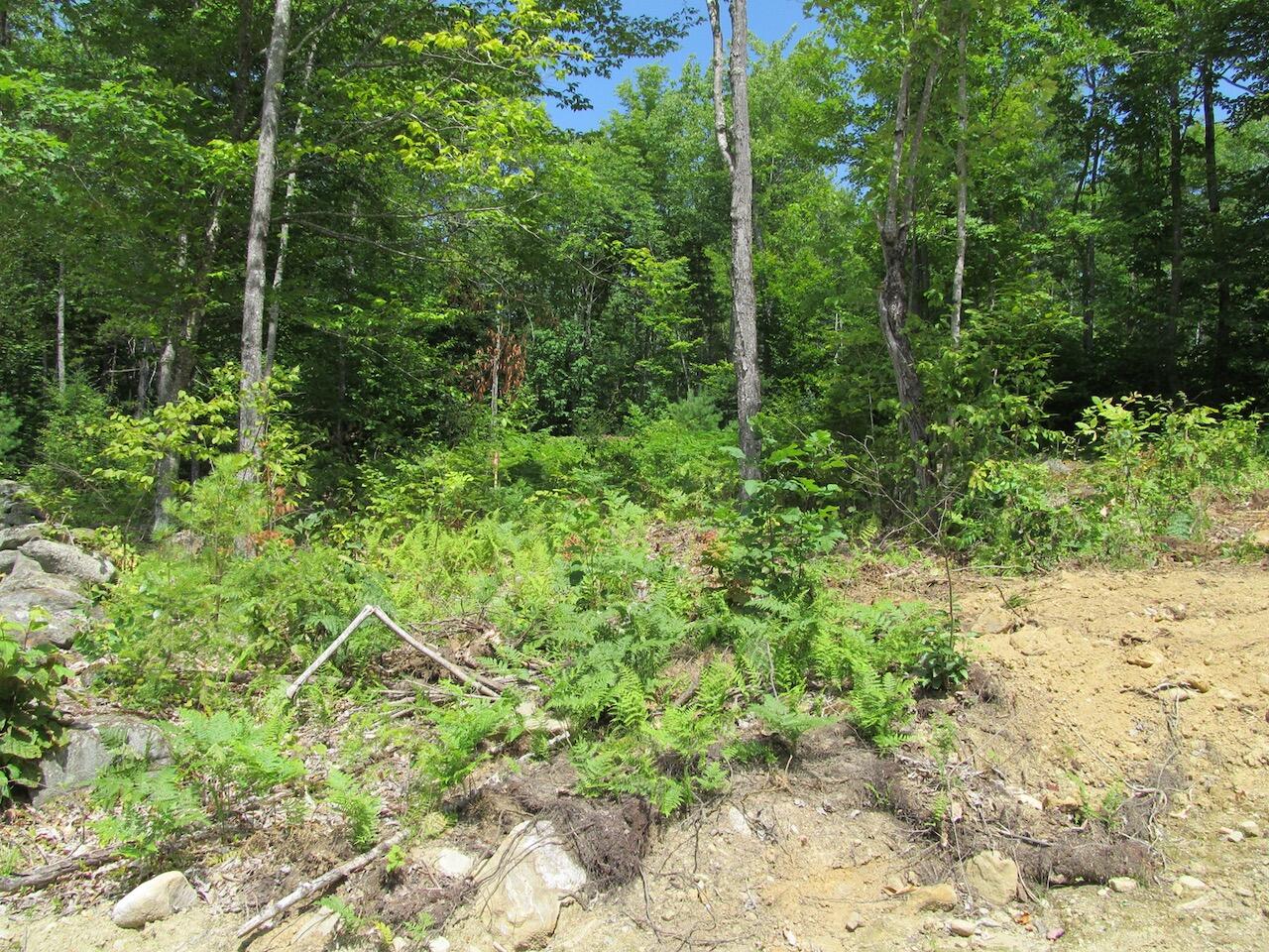 37-2 Brown Neighborhood Road Weld, ME 04285 - Photo 10 of 27