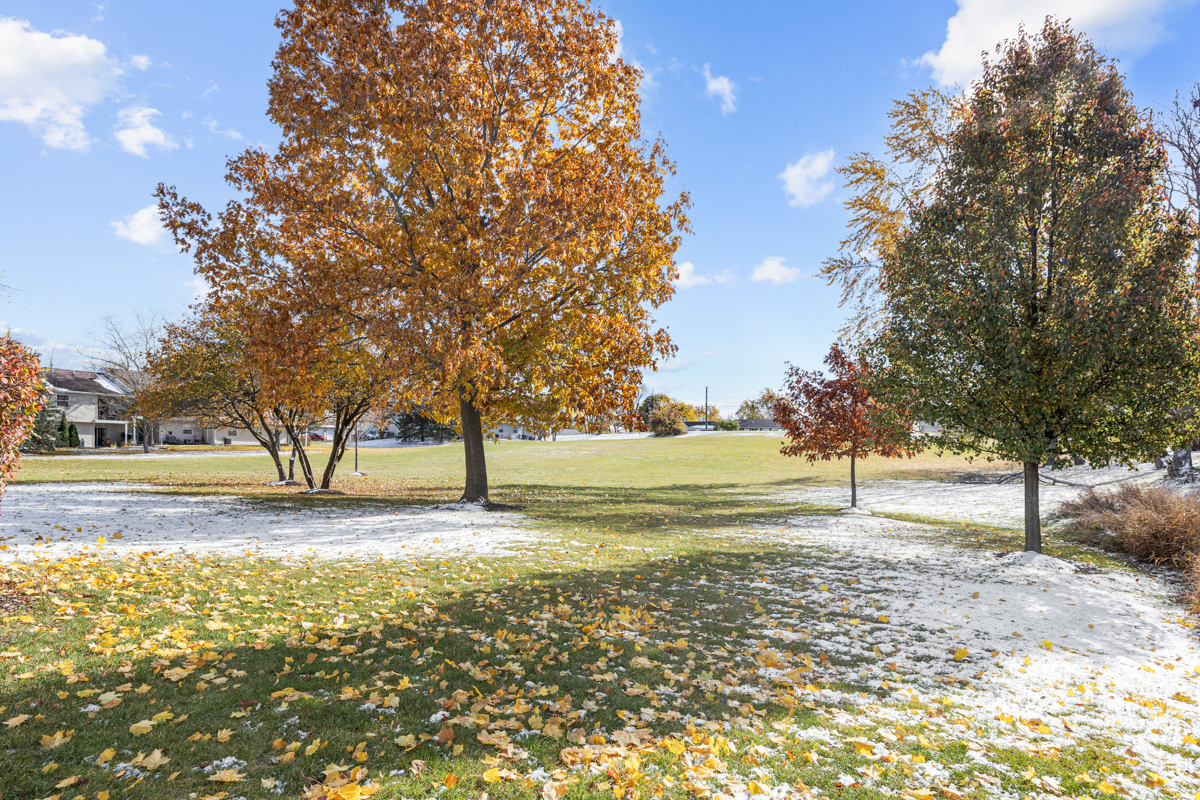 40 South Victoria Lane, Unit G Streamwood, IL 60107 - Photo 20 of 22 a view of a yard with a house