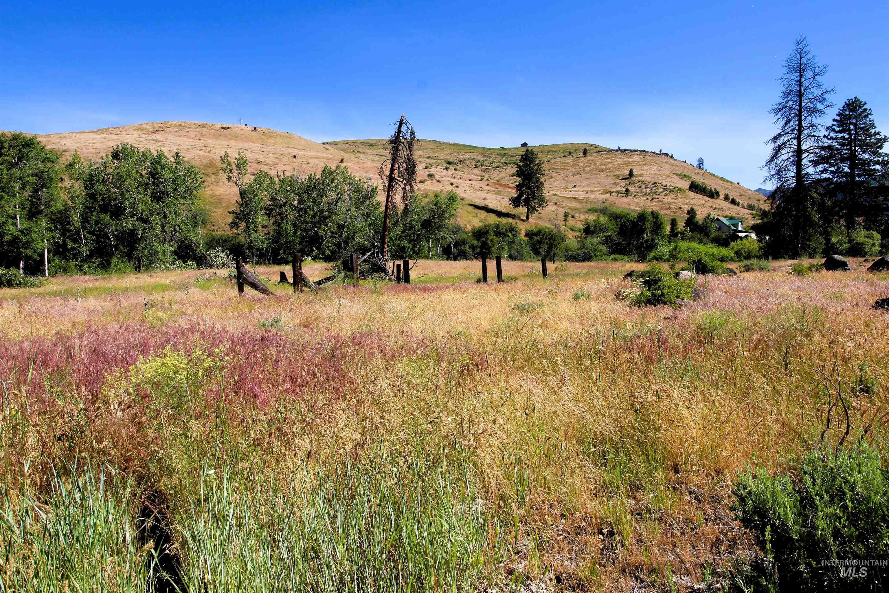 Tbd Advent Gulch Road Cambridge, ID 83610 - Photo 24 of 30