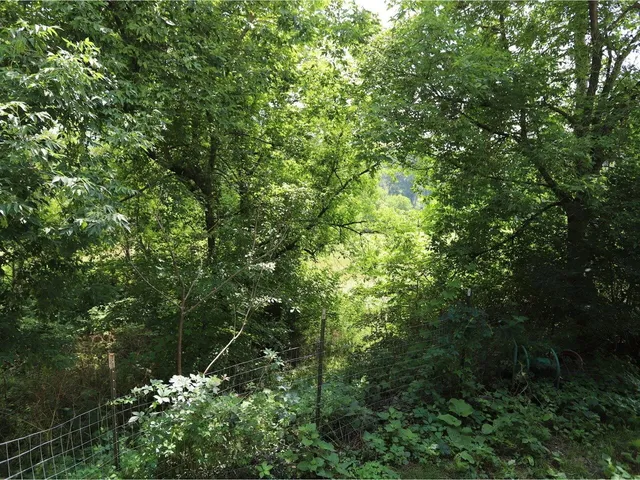 $249,000 | 4457 Highway 14, Royalton, VT 05068