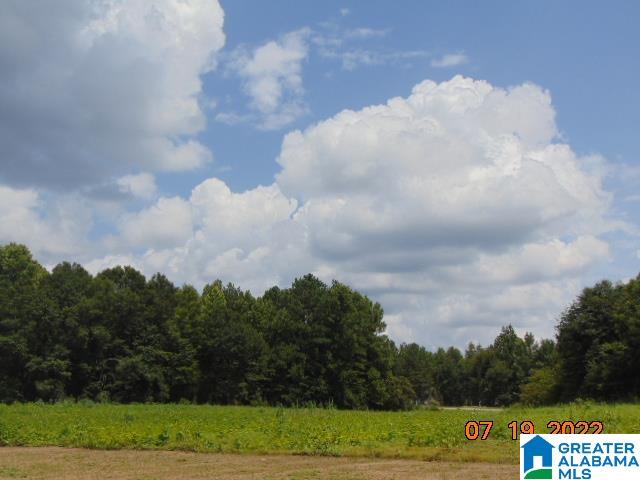 0 County Road 501 Verbena, AL 36091 - Photo 4 of 6