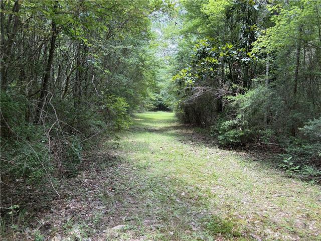 0 Thigpen Road Franklinton, LA 70438 - Photo 20 of 34
