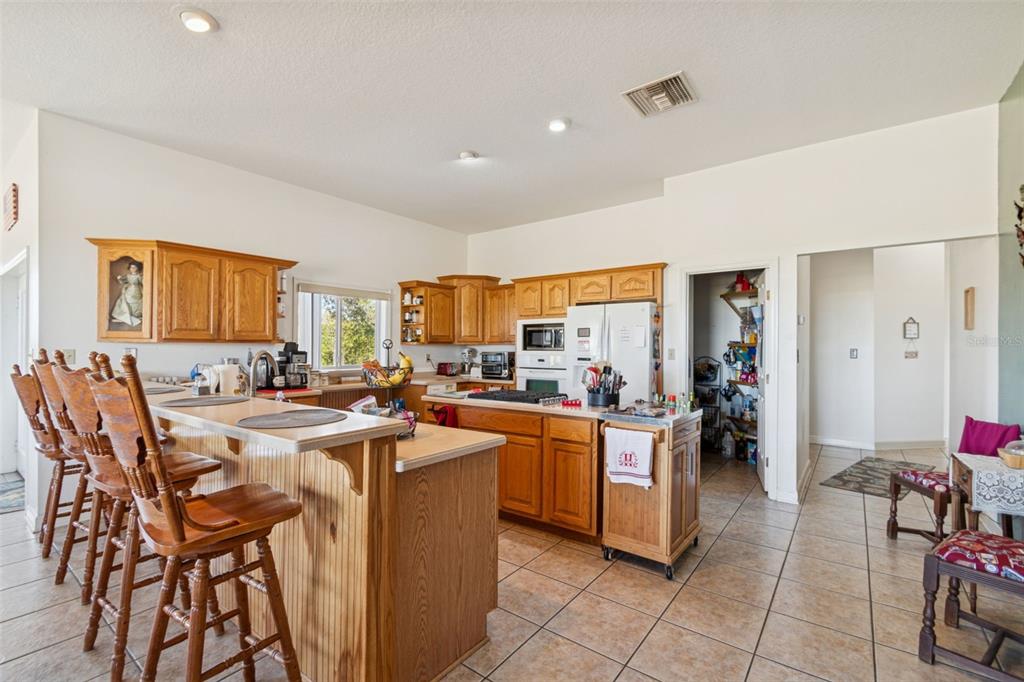 2307 Cass Road Lake Alfred, FL 33850 - Photo 28 of 67