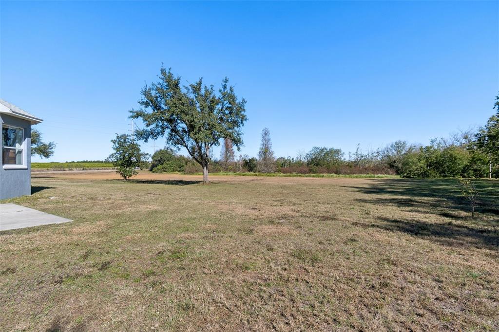 2307 Cass Road Lake Alfred, FL 33850 - Photo 48 of 67 a view of yard with green space