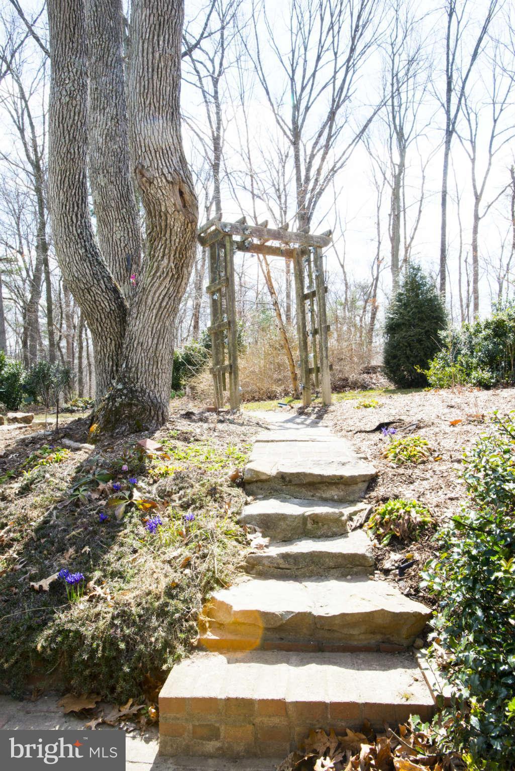 19925 Gunpowder Road Manchester, MD 21102 - Photo 15 of 17 Side Walkway