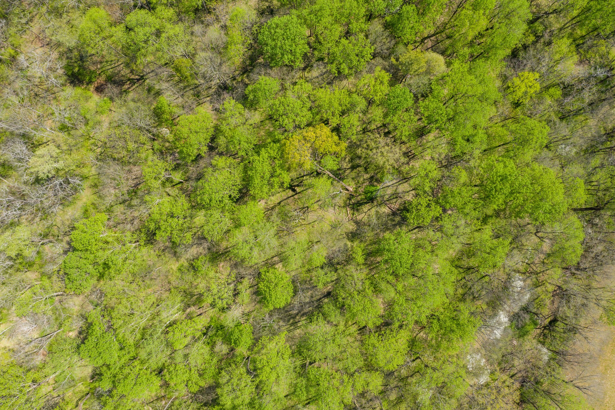 0 Harlan Farm Road Columbia, TN 38401 - Photo 12 of 22
