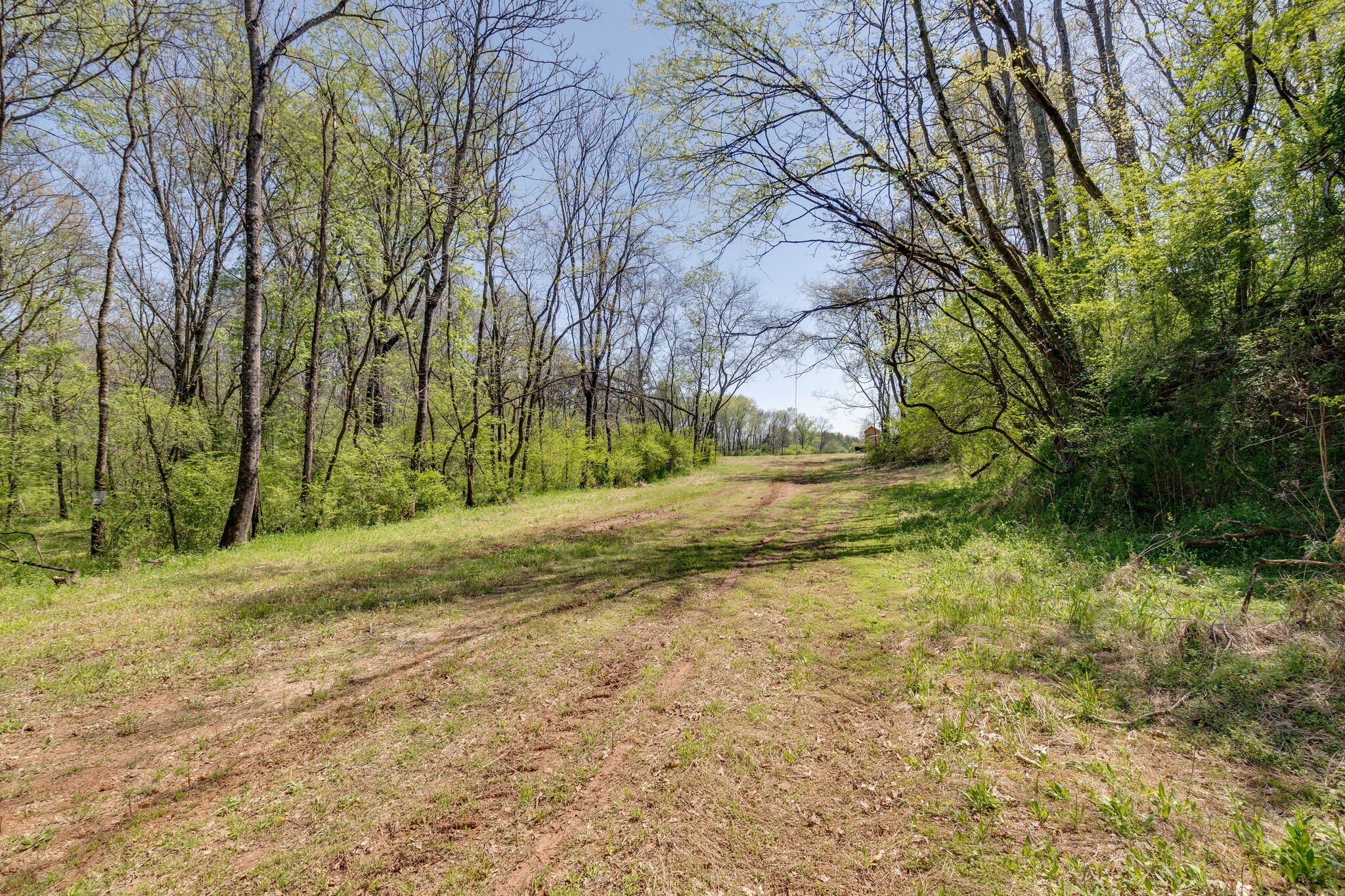 0 Harlan Farm Road Columbia, TN 38401 - Photo 16 of 22