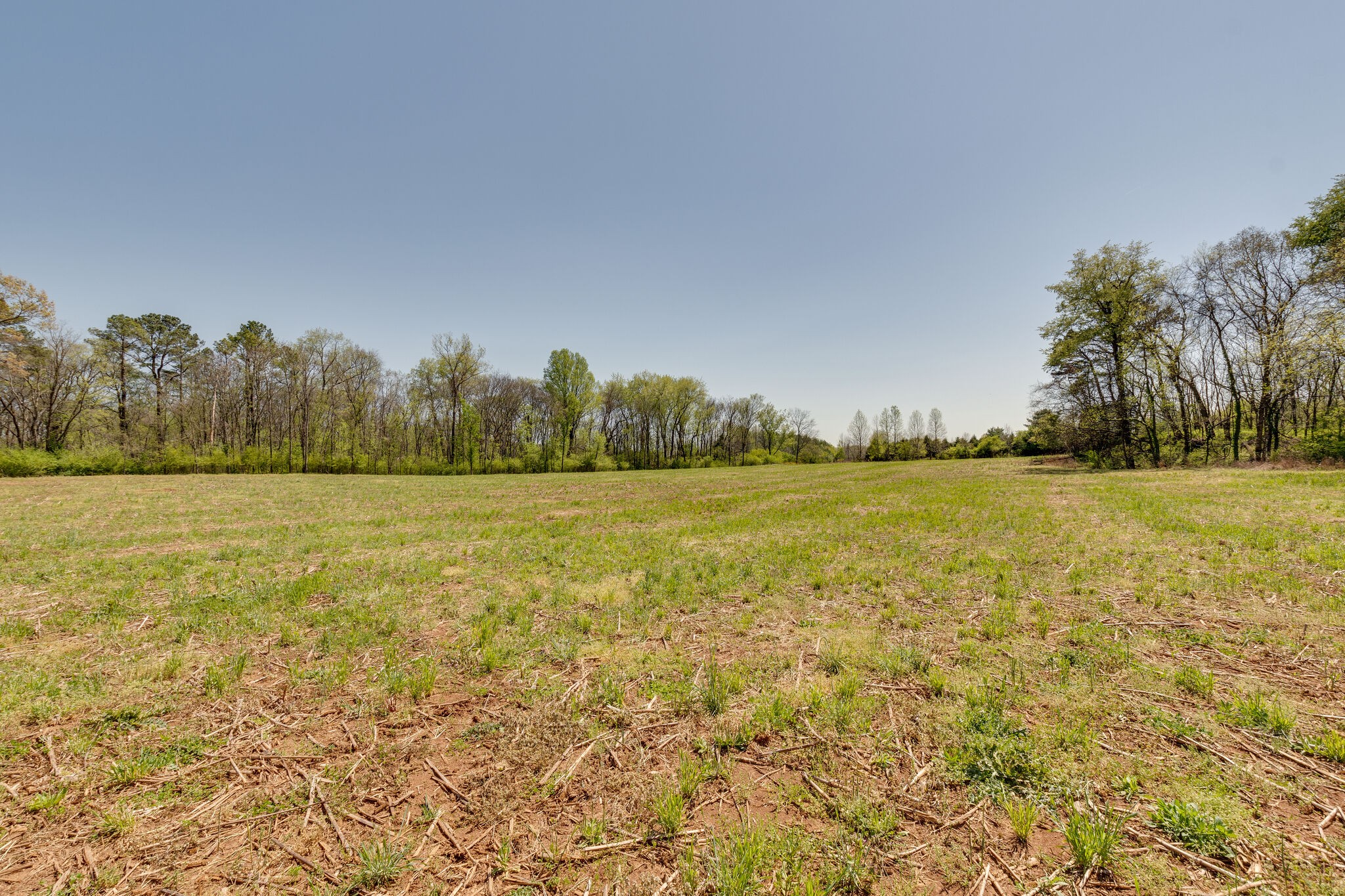 0 Harlan Farm Road Columbia, TN 38401 - Photo 17 of 22
