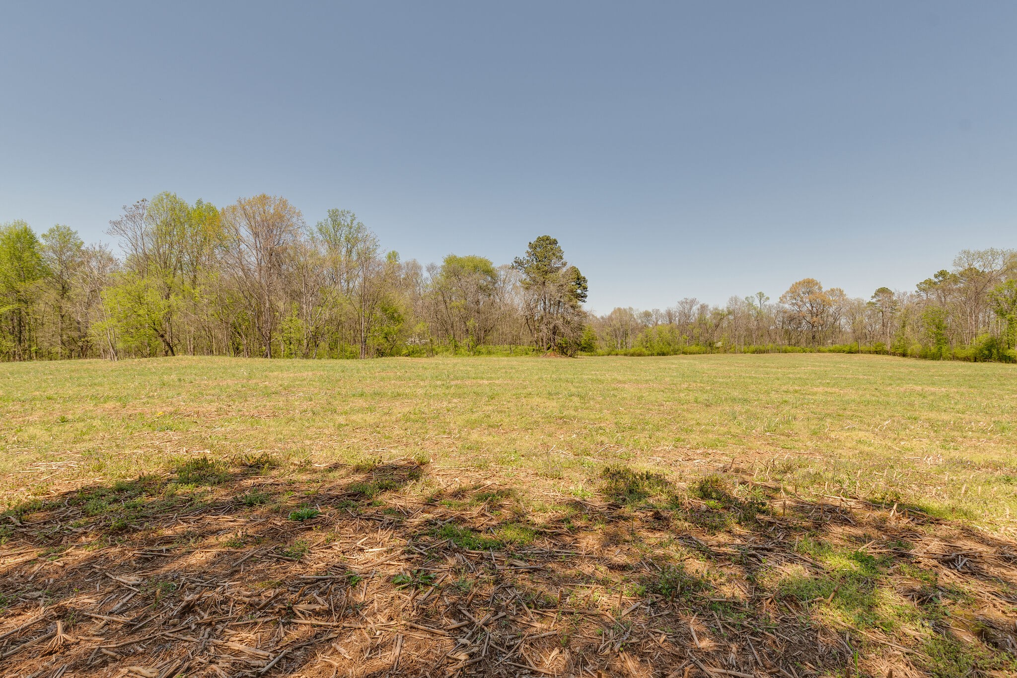 0 Harlan Farm Road Columbia, TN 38401 - Photo 18 of 22