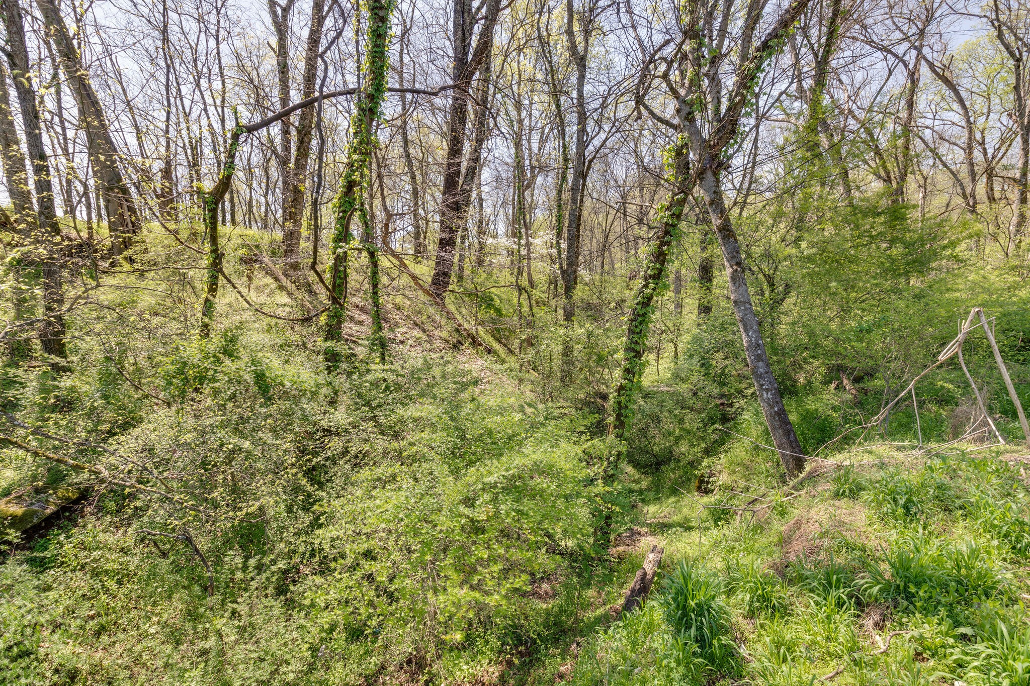0 Harlan Farm Road Columbia, TN 38401 - Photo 19 of 22