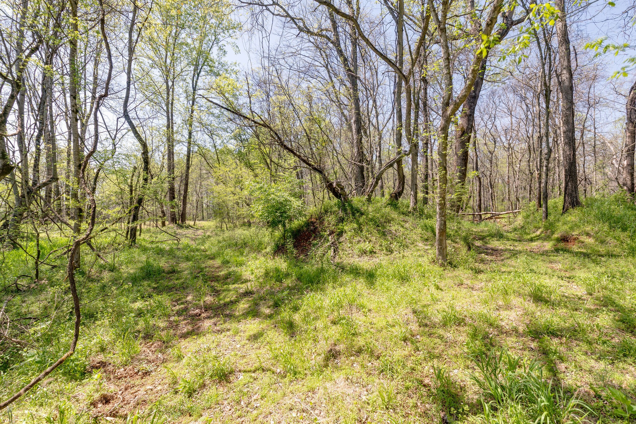 0 Harlan Farm Road Columbia, TN 38401 - Photo 20 of 22