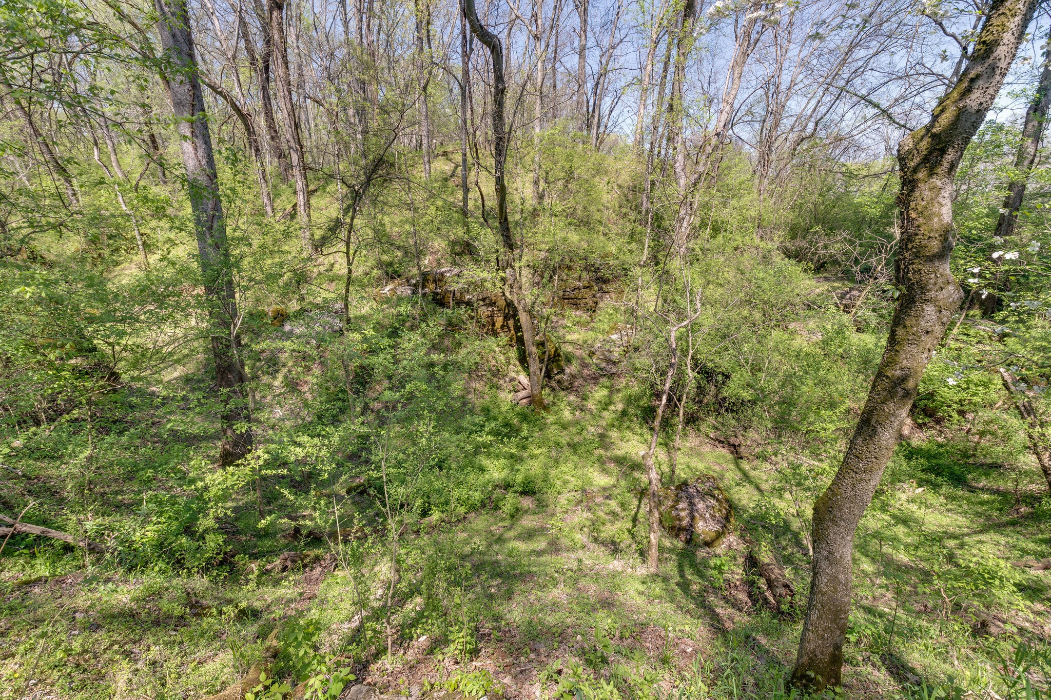 0 Harlan Farm Road Columbia, TN 38401 - Photo 21 of 22
