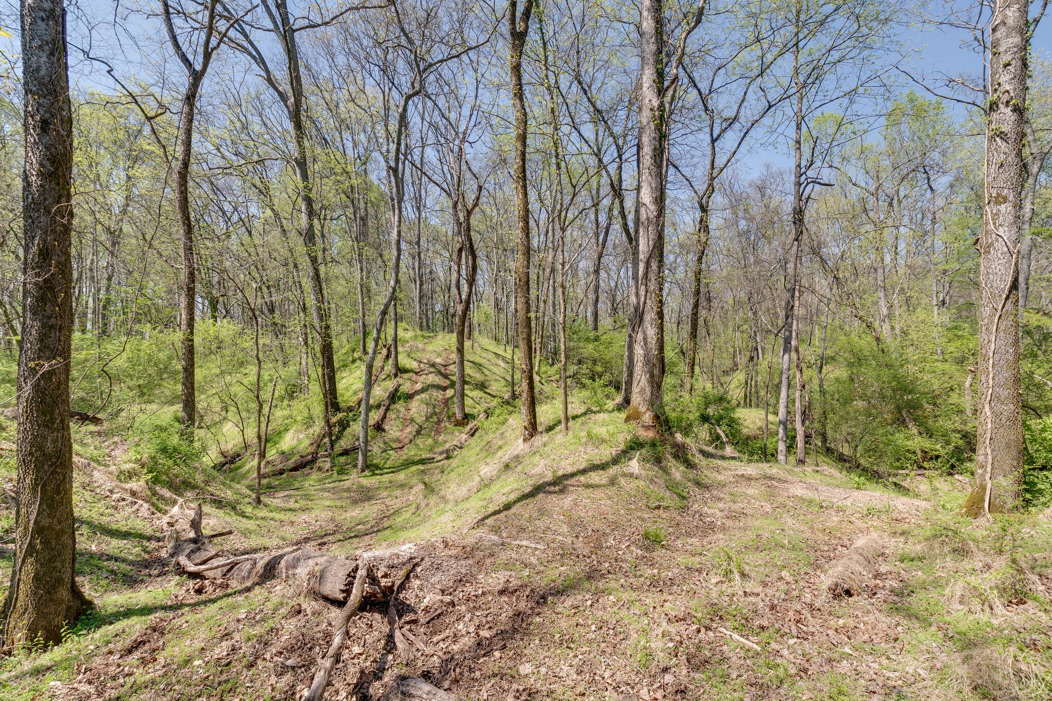 0 Harlan Farm Road Columbia, TN 38401 - Photo 22 of 22