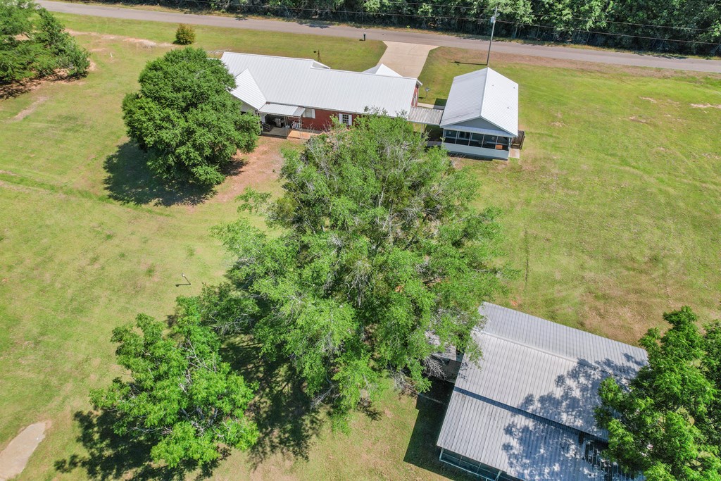 861 Culpepper Road Coffee Springs, AL 36318 - Photo 8 of 71