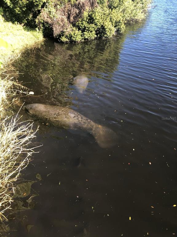 2245 Enjoya Lane Melbourne, FL 32901 - Photo 64 of 65