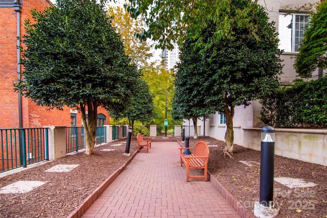 a park view with a large tree